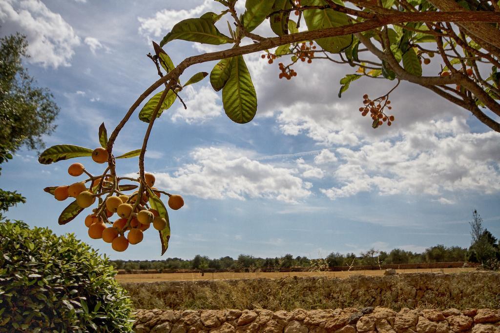 Finca Agroturismo Can Carro Campos (Mallorca) Exterior foto