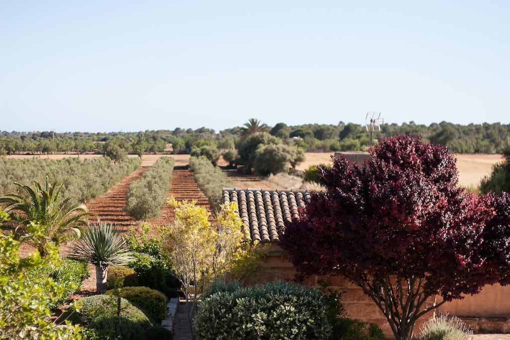 Finca Agroturismo Can Carro Campos (Mallorca) Exterior foto